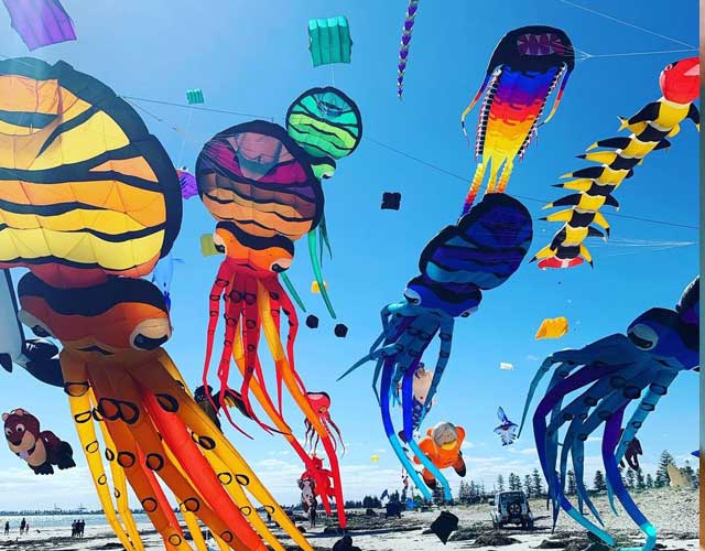 Adelaide Kite Festival